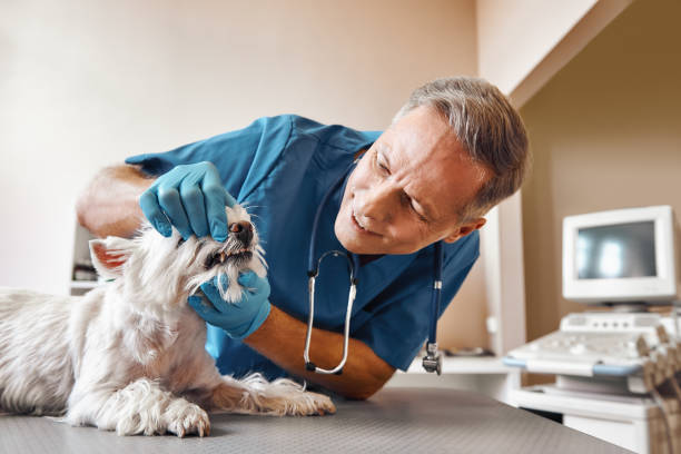 Best Same-Day Emergency Dental Services in Sylvester, GA